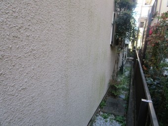 入間市東藤沢 屋根カバー工事 外壁塗装 現地調査 外壁の苔、汚れ