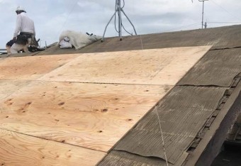 野地板張り施工中