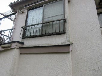東京都東大和市 屋根葺き替え、外壁塗装工事 現地調査 外壁の苔、汚れ