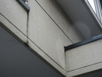 IMG_2541-2-columns2