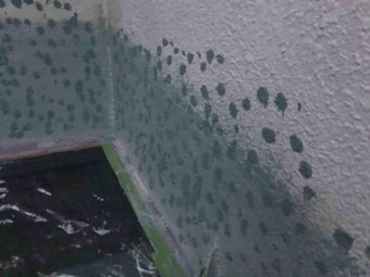 変換 ~ 飯能市 屋根カバー 外壁塗装 外壁中、上塗り (10)