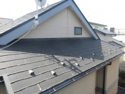 所沢市 東所沢 現地調査 外壁の苔汚れ スレート屋根の破損を確認2