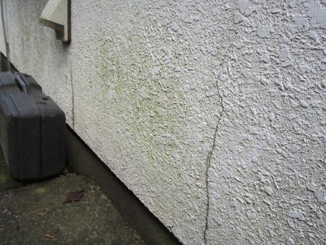 変換 ～ 飯能市　屋根カバー　外壁塗装　現地調査 (13)