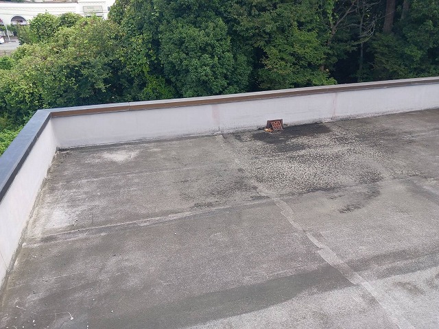 排水口周辺の屋上