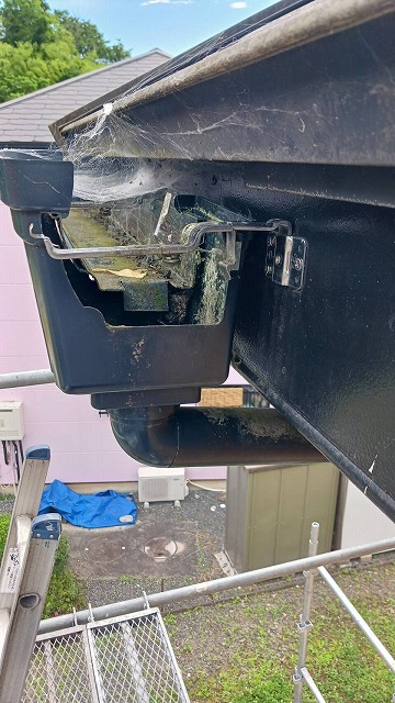 雨樋