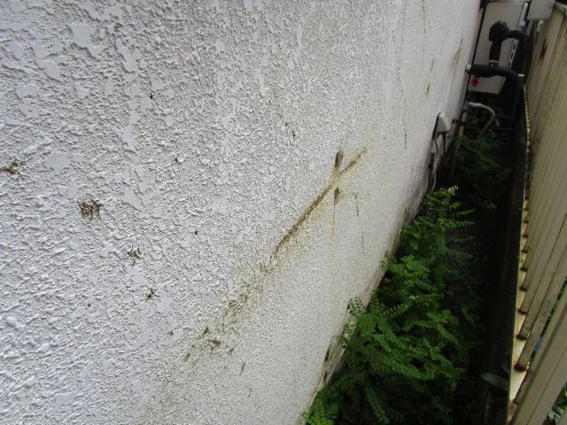 変換 ～ 飯能市　屋根カバー　外壁塗装　現地調査 (12)