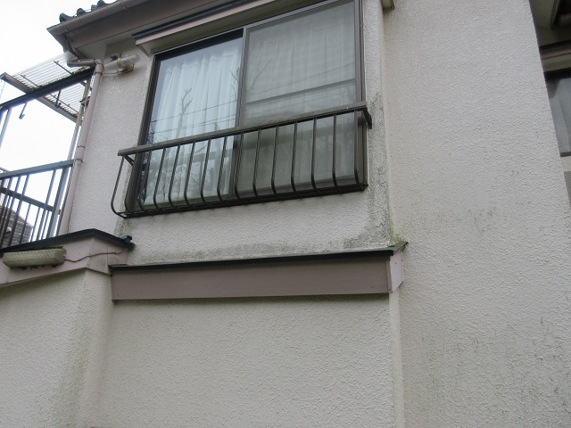 東京都東大和市　屋根葺き替え、外壁塗装工事　現地調査　外壁の苔、汚れ