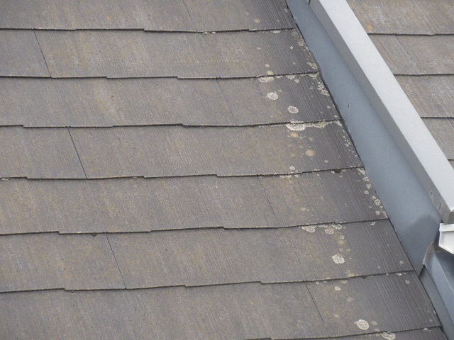 所沢市和ケ原　屋根カバー、天窓撤去、外壁塗装工事　現地調査　スレート屋根の汚れ、劣化