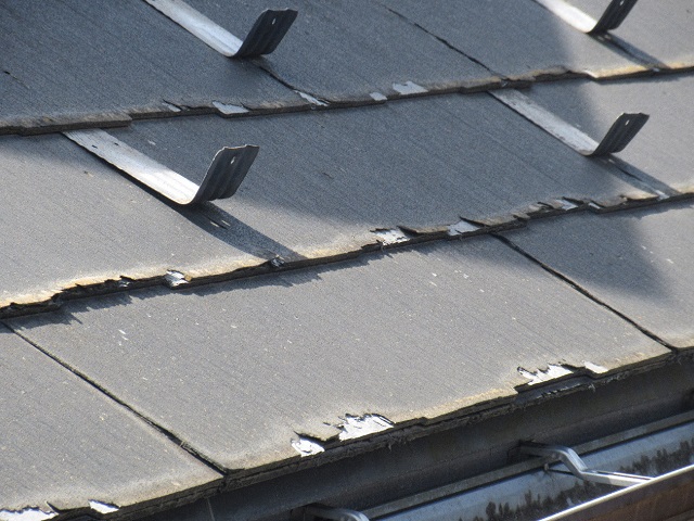 所沢市　東所沢　現地調査　外壁の苔汚れ　スレート屋根の破損を確認3