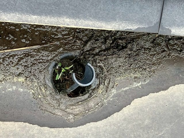 雨水排水口からの雨漏り