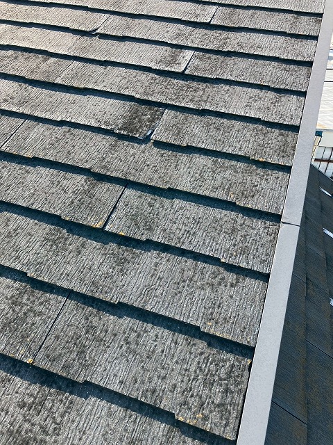 屋根点検もご相談ください