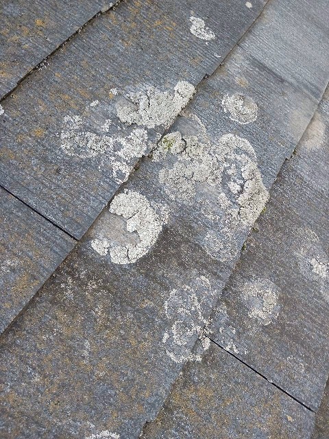 長年ノーメンテナンスの屋根