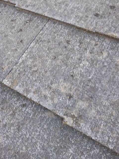 屋根点検もおまかせ！