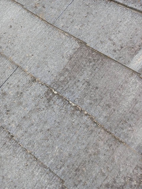 屋根点検もおうかがいしています