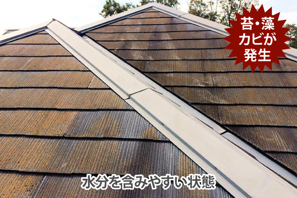 苔・藻カビが発生は水分を含みやすい状態