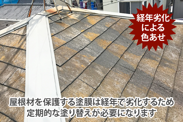 屋根材を保護する塗膜は経年で劣化するため定期的な塗り替えが必要になります